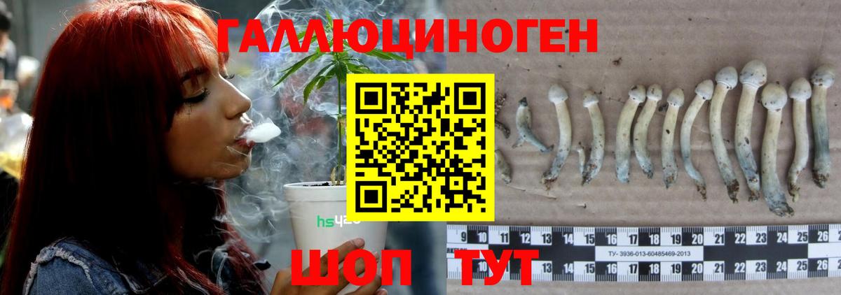 Псилоцибиновые грибы Psilocybine cubensis  Вход с VPN  Кудрово 